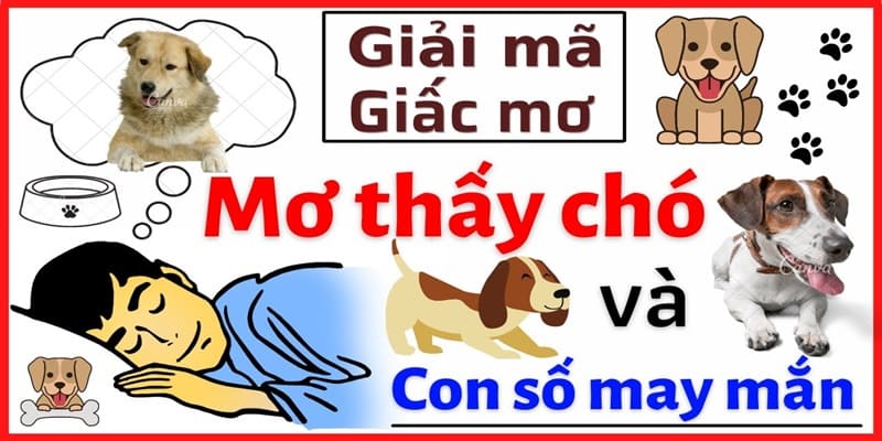 Mơ thấy chó