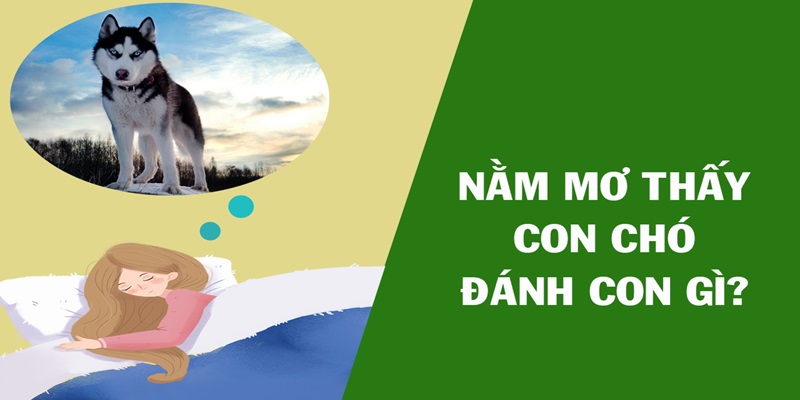 Chiêm bao gặp chó đánh số mấy