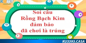 Soi Cầu Bạch Kim | Thời Điểm & Phương Pháp Đánh Năm 2024